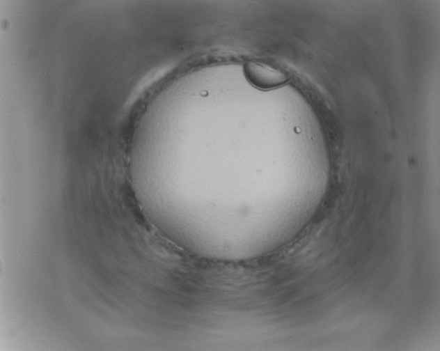 X0000075891207200610062044