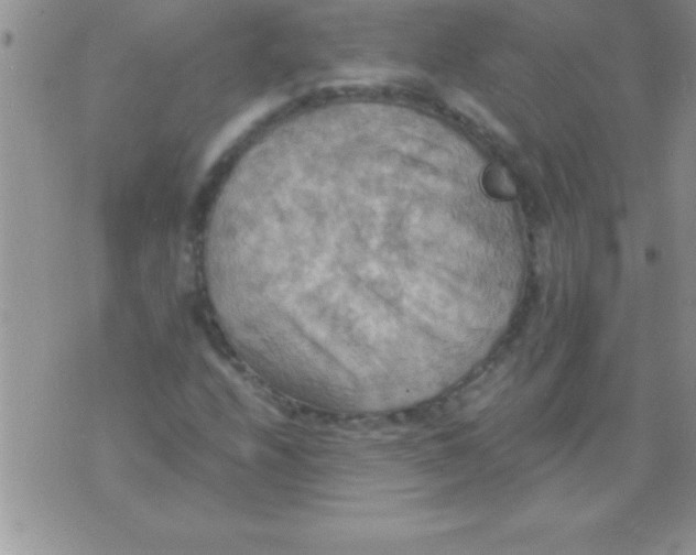 X0000075891208200610062044