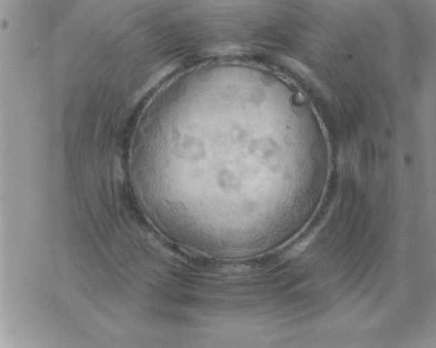 X0000075891209200610062044