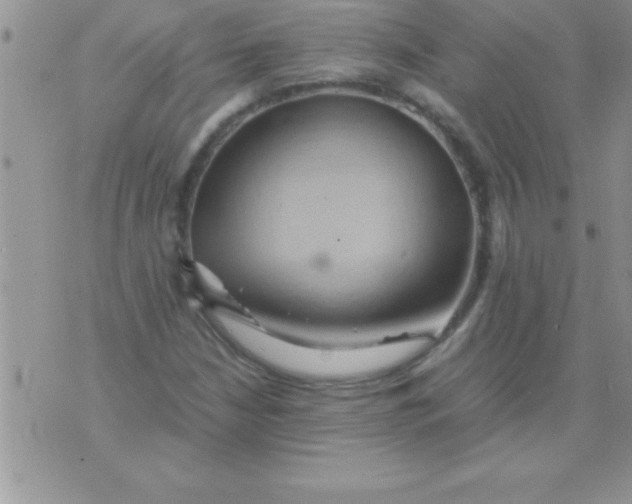 X0000075891210200610062044