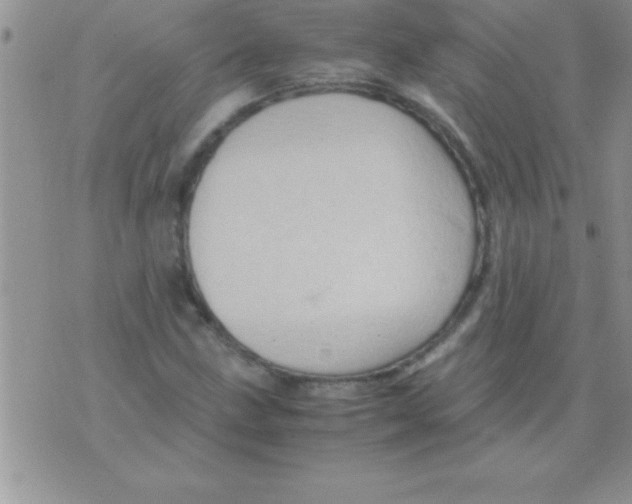 X0000075891211200610062044