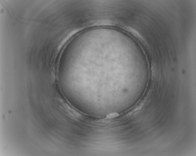 X0000075891212200610062044