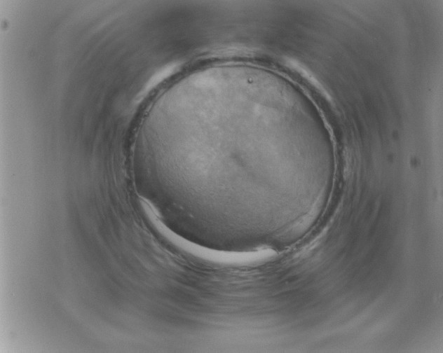 X0000075891213200610062044