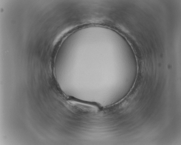 X0000075891214200610062044