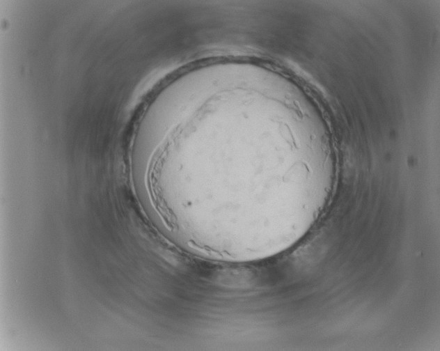 X0000075891215200610062044