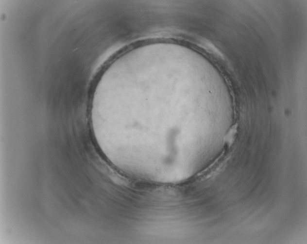 X0000075891216200610062044