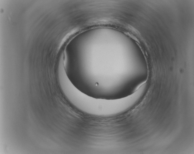 X0000075891218200610062044