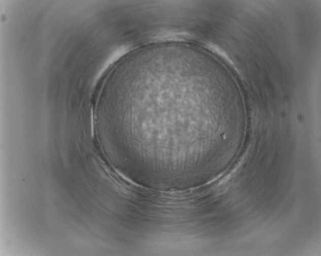 X0000075891219200610062044