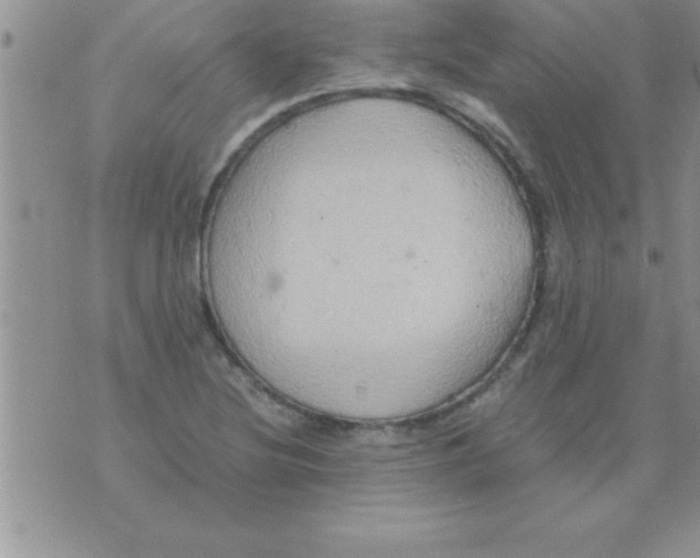 X0000075891220200610062044