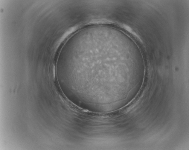 X0000075891221200610062044