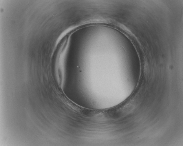 X0000075891222200610062044