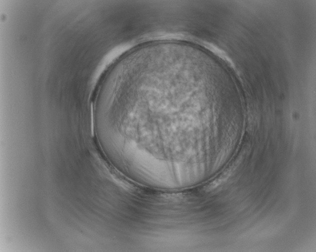 X0000075891223200610062044