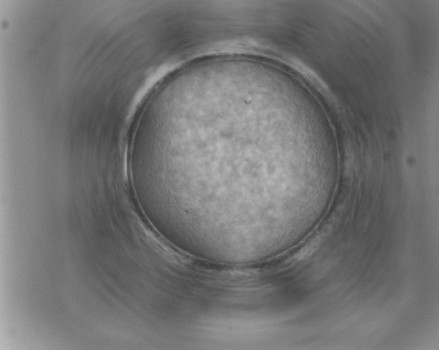 X0000075891224200610062044