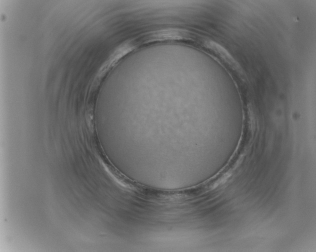 X0000075891225200610062044