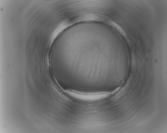 X0000075891226200610062044