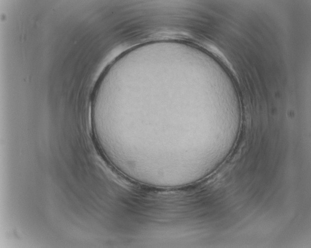 X0000075891227200610062044