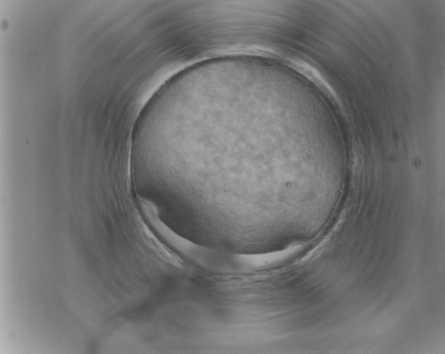 X0000075891228200610062044