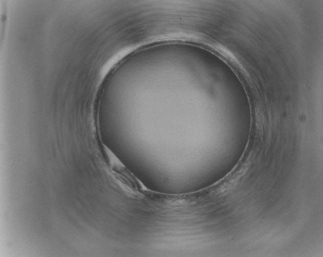 X0000075891230200610062044