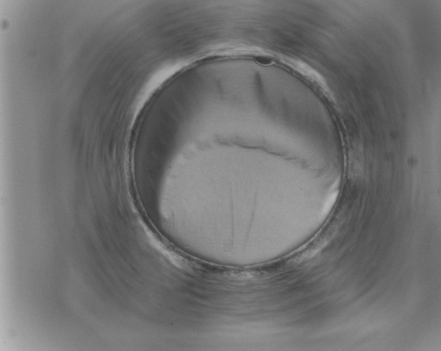 X0000075891231200610062044