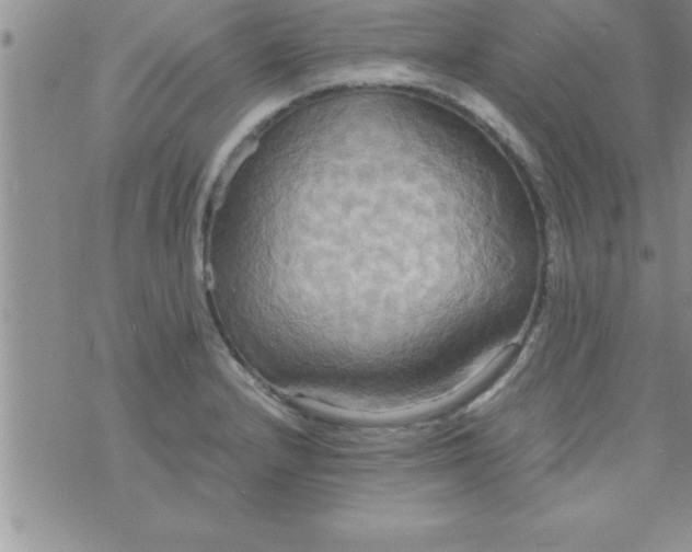 X0000075891232200610062044