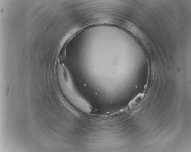 X0000075891234200610062045