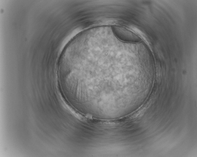 X0000075891235200610062045