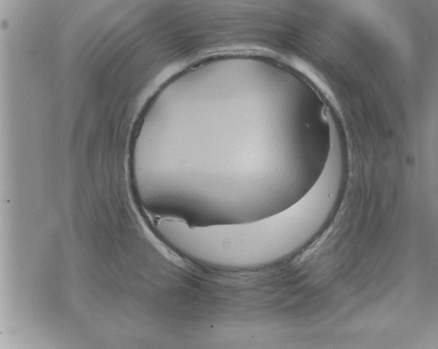 X0000075891237200610062045