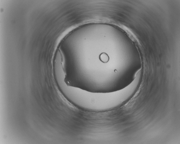 X0000075891238200610062045