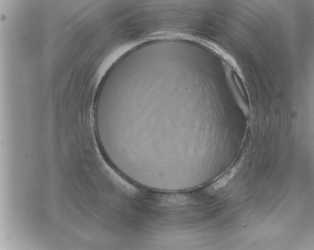 X0000075891239200610062045