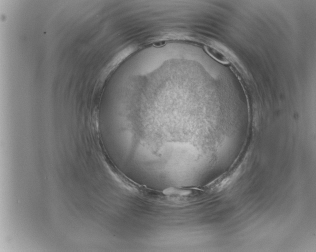 X0000075891241200610062045