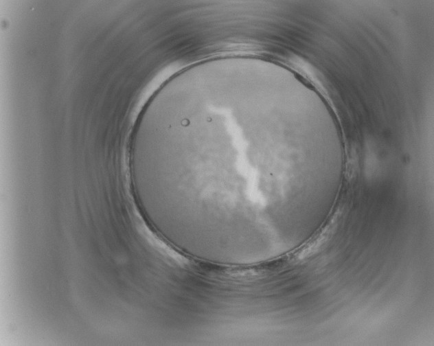 X0000075891243200610062045