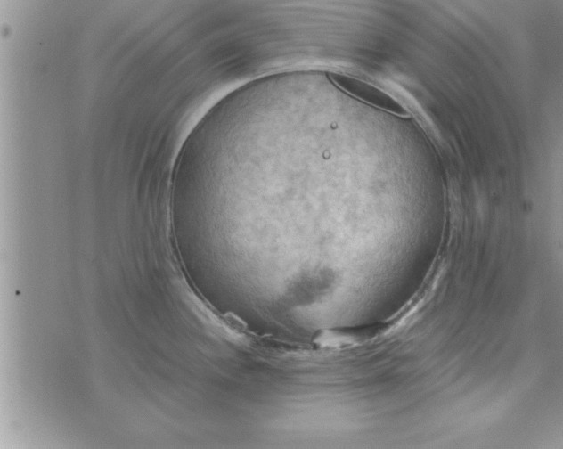 X0000075891244200610062045