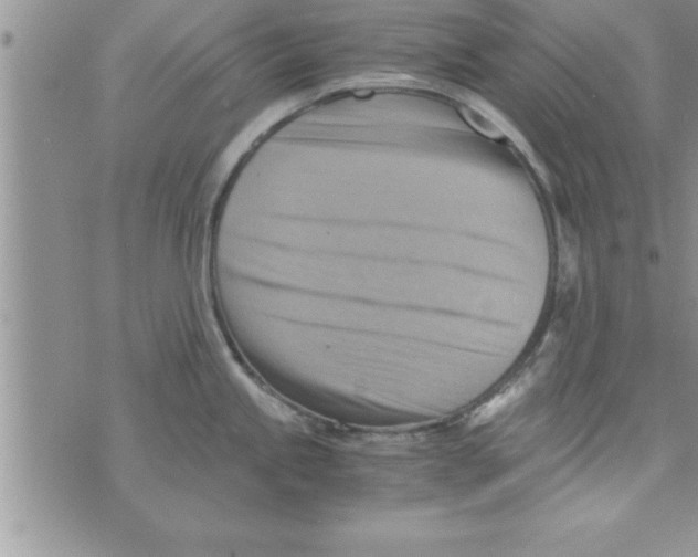 X0000075891245200610062045