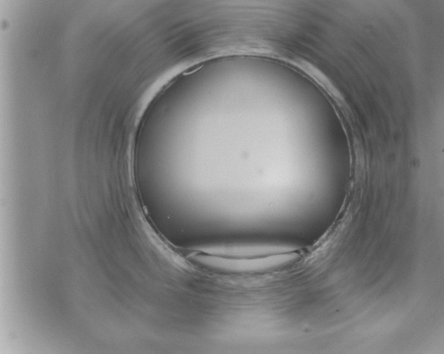 X0000075891246200610062045