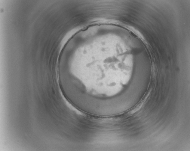 X0000075891247200610062045