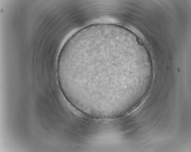 X0000075891248200610062045