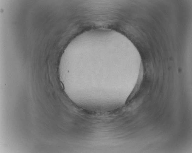 X0000075891249200610062044