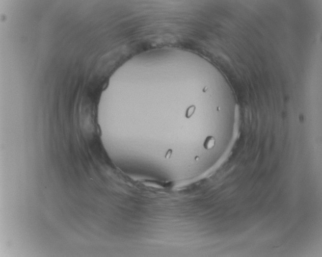 X0000075891250200610062044