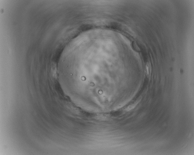 X0000075891251200610062044