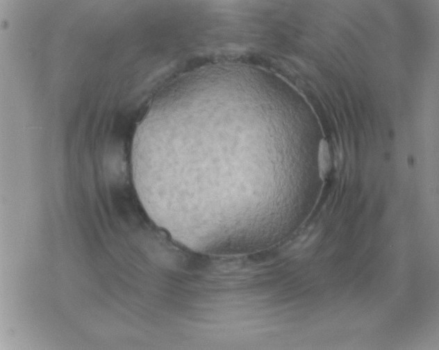 X0000075891252200610062044