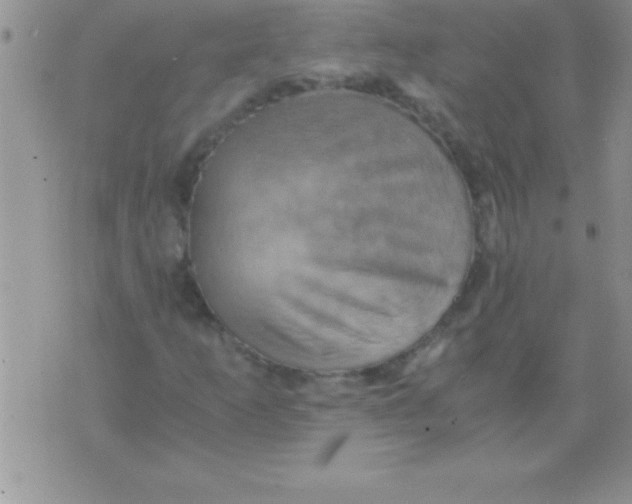 X0000075891253200610062044