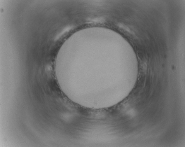 X0000075891254200610062044