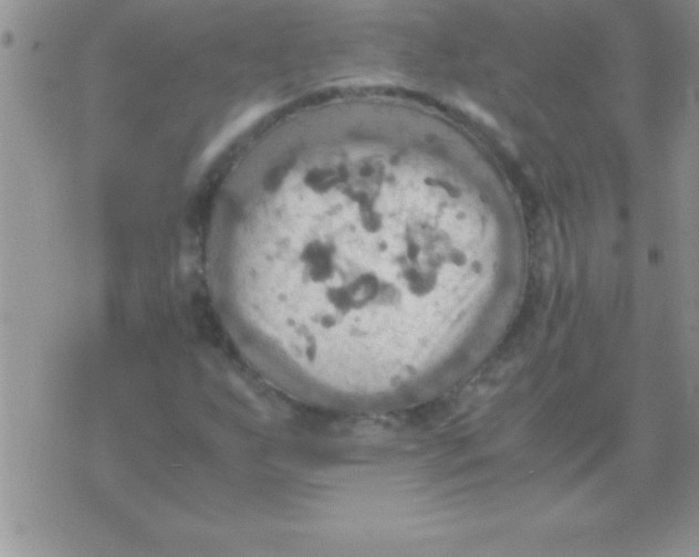 X0000075891255200610062044