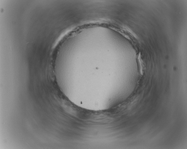 X0000075891256200610062044