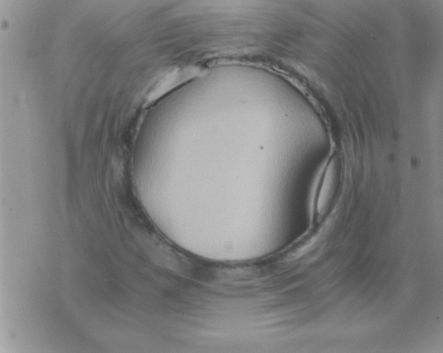 X0000075891257200610062044