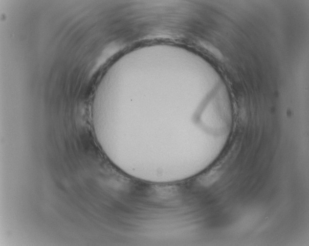 X0000075891258200610062044