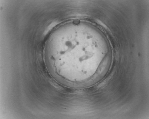 X0000075891259200610062044