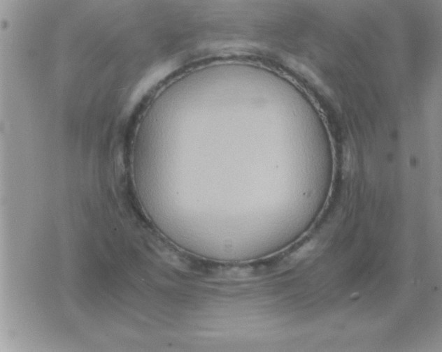 X0000075891261200610062044