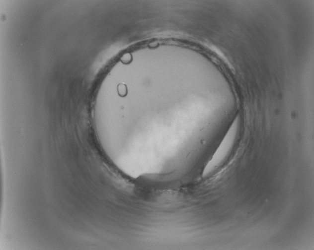 X0000075891263200610062044