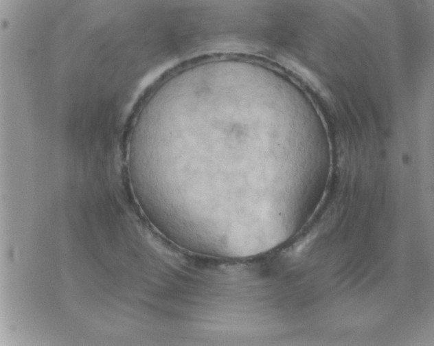 X0000075891264200610062044